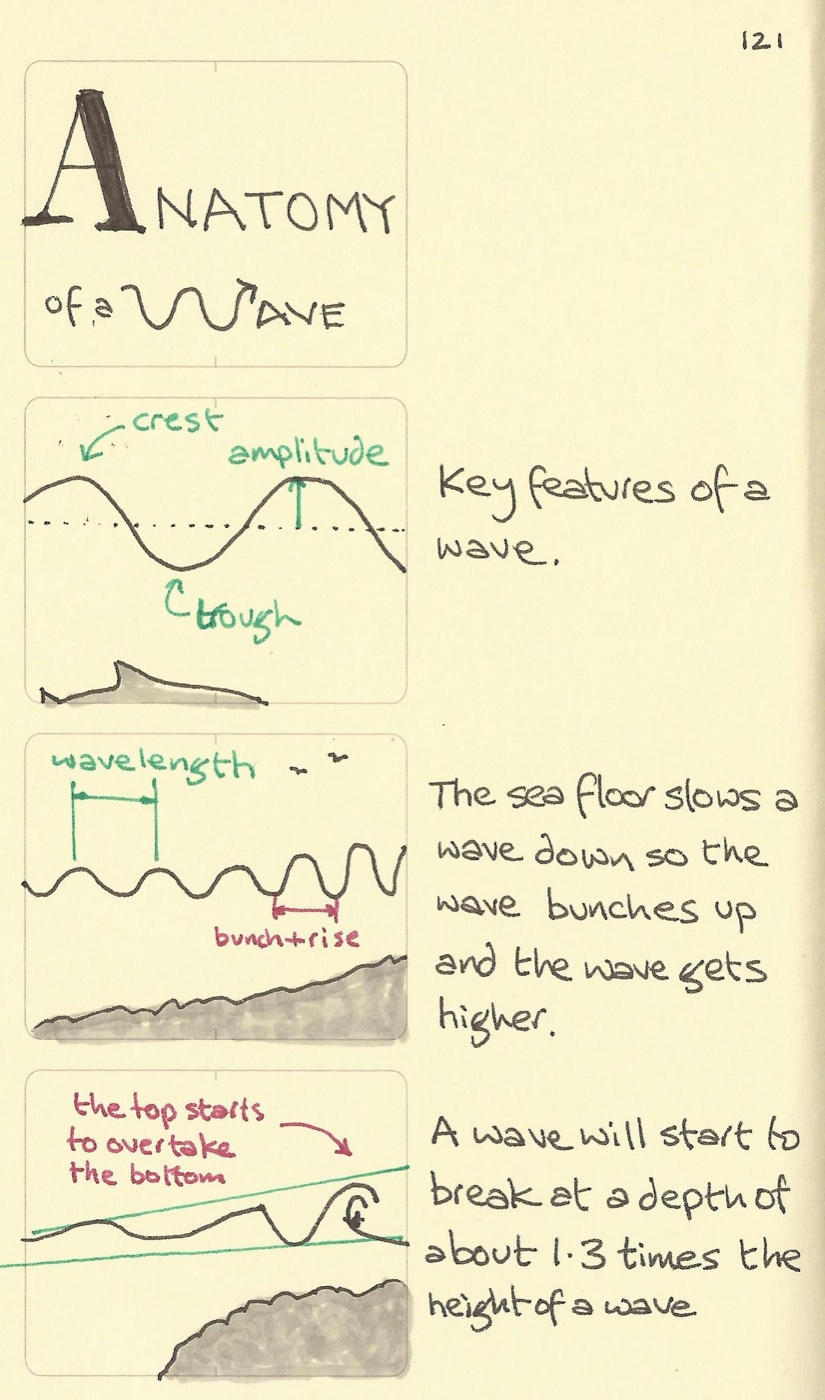 Anatomy of a wave illustration showing the key features of crest, amplitude, trough, wavelength and when it starts to break on a beach