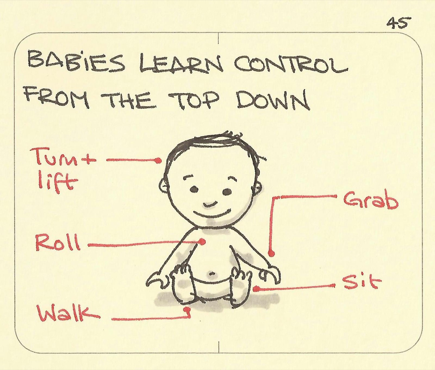 Babies learn control from the top down