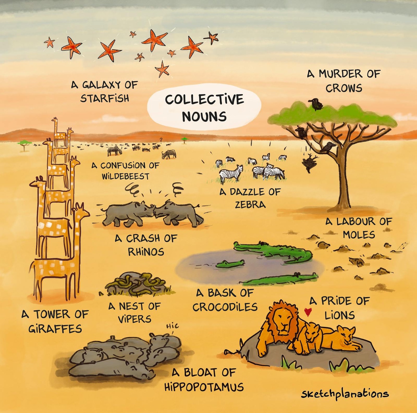 What are collective nouns for animals? Illustration of African animals showing examples of collective nouns: a tower of giraffes, a crash of rhinos, a pride of lions, a dazzle of zebra, a murder of crows, a bask of crocodiles, and others.