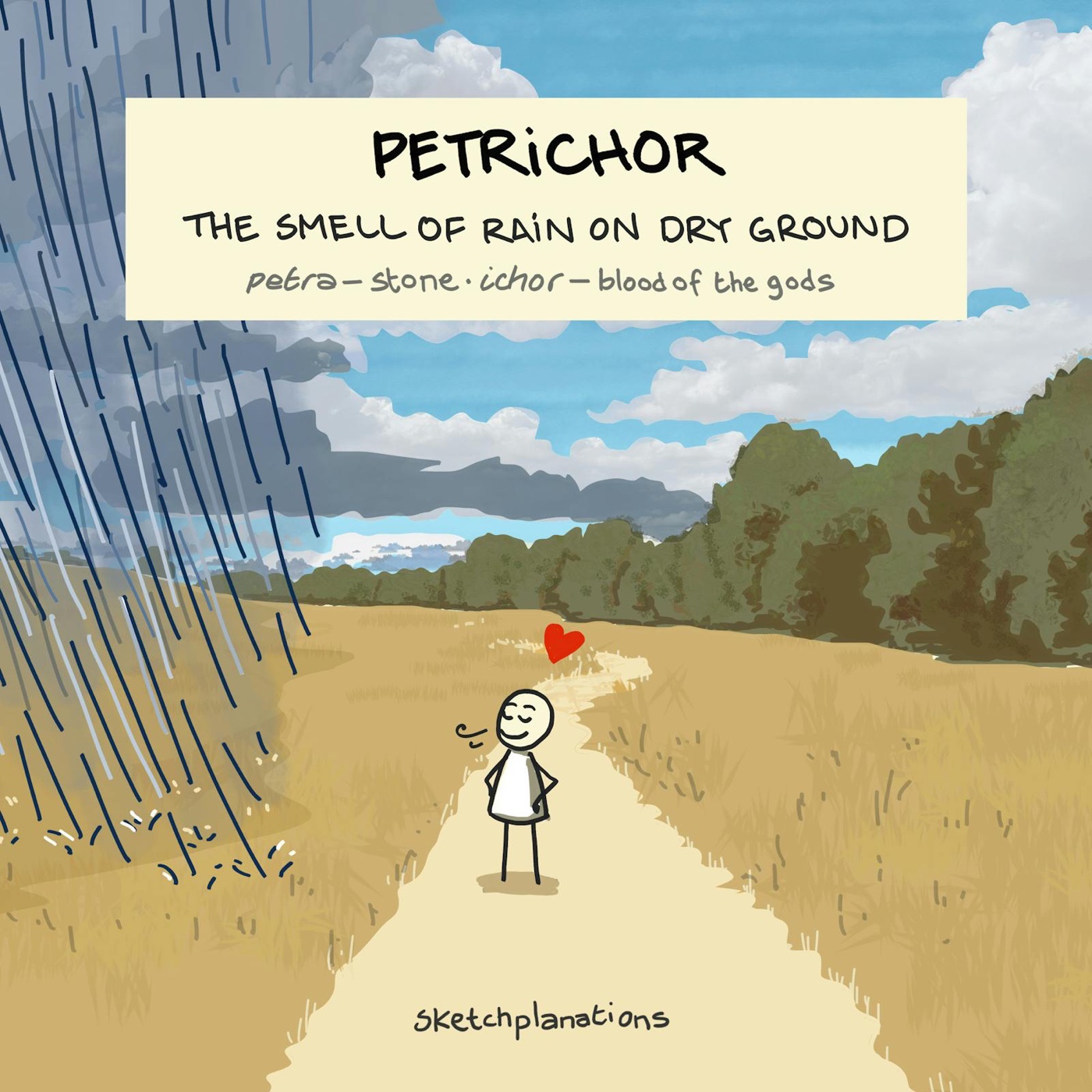 Petrichor: the smell of rain on dry ground