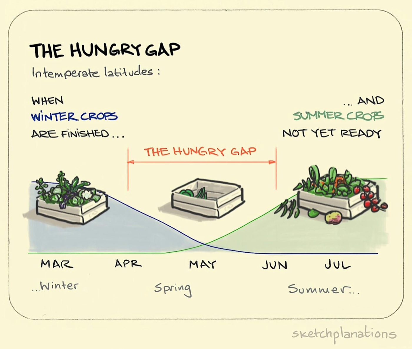 What is the hungry gap explained showing a timeline with a full box of Winter vegetables leading out of April, a nearly empty box in May, and an overflowing one in the Summer