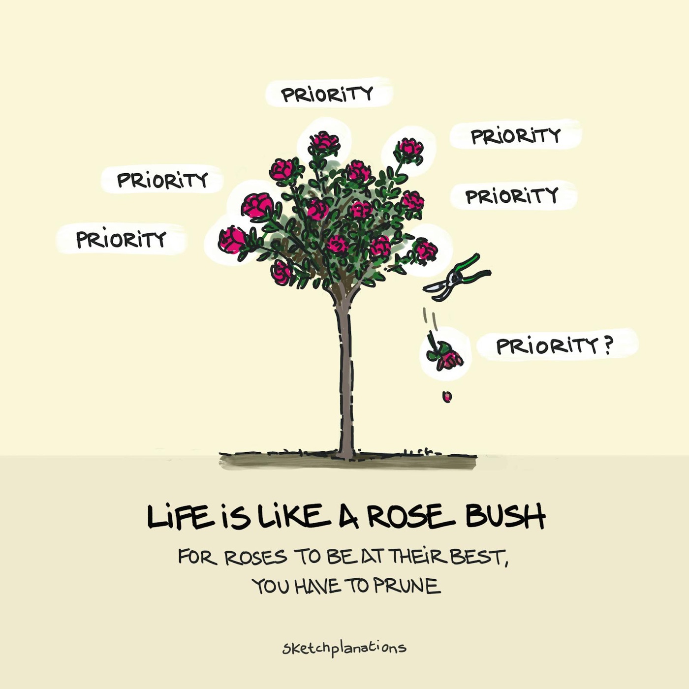 The Rose Bush Rule with the life is like a rose bush metaphor: pruning roses to allow the others to bloom